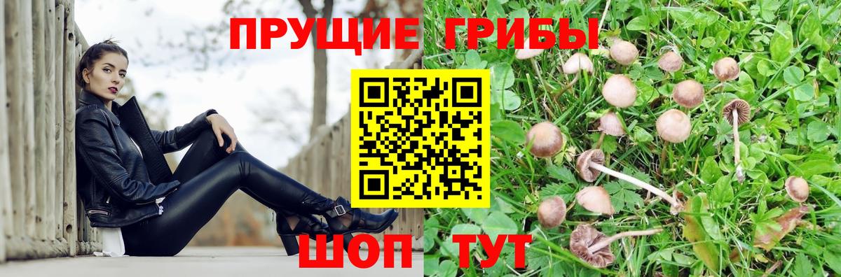Галлюциногенные грибы мухоморы  Псилоцибиновые грибы Magic Shrooms  Сегежа  Вход с VPN 
