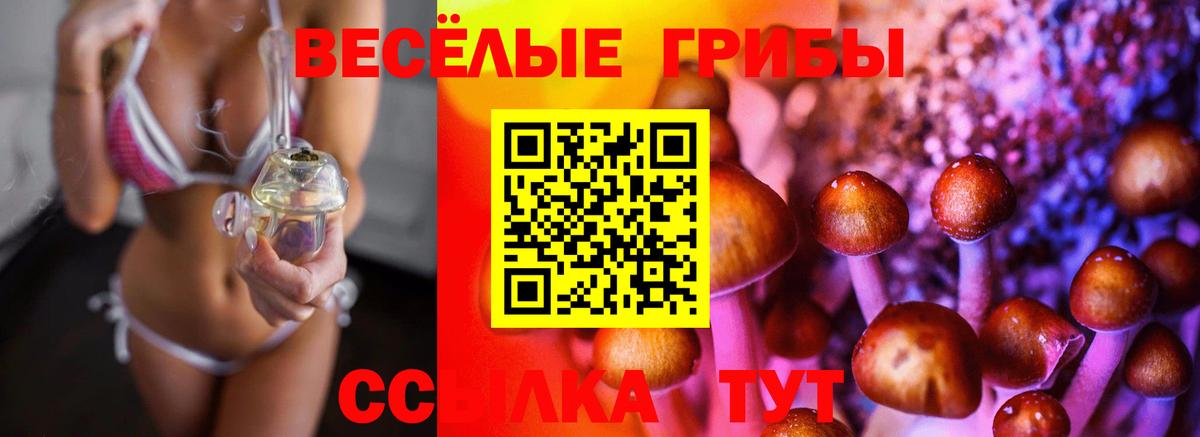 Псилоцибиновые грибы Magic Shrooms Сегежа